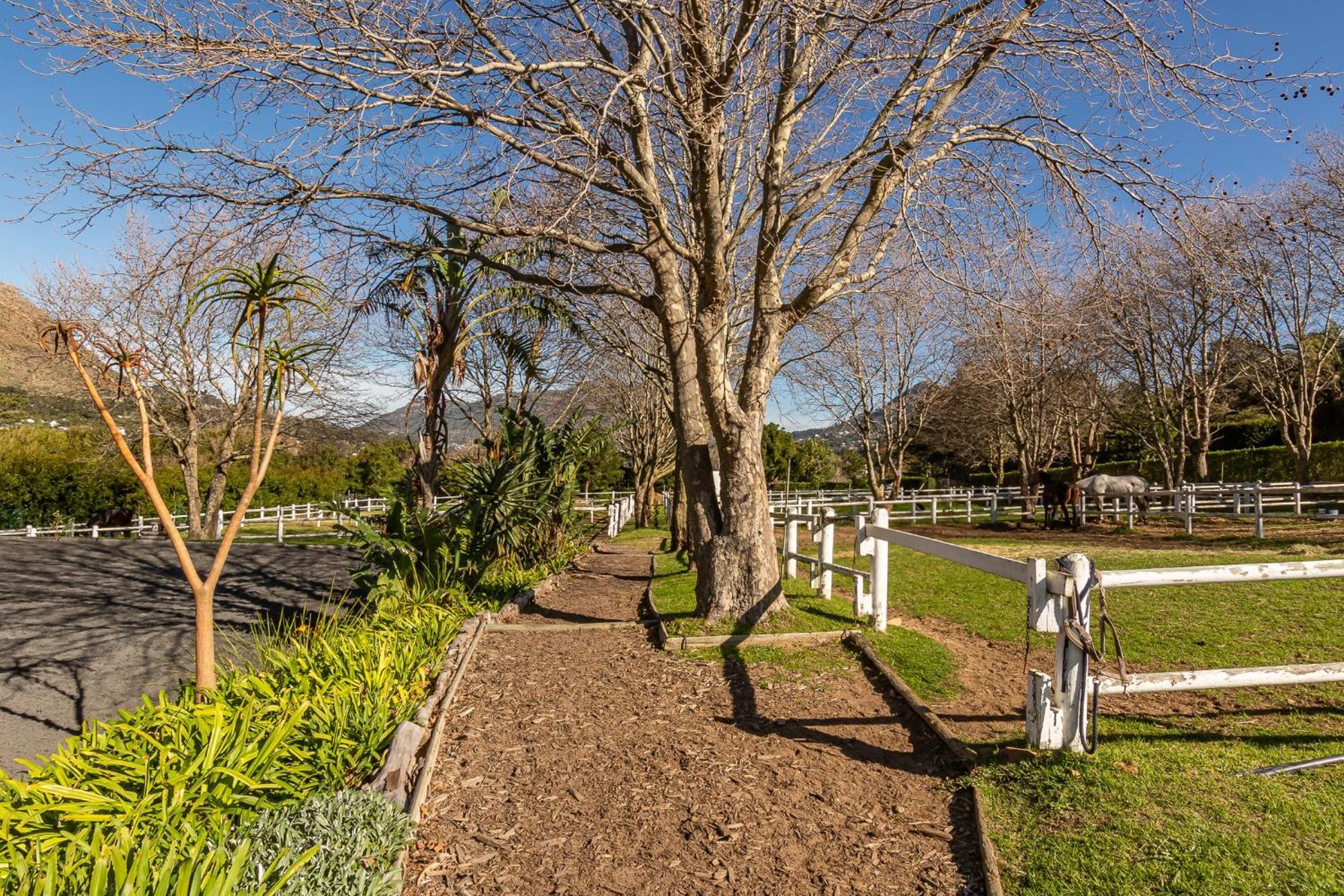 Novelle Vista Cottage 豪特湾 外观 照片