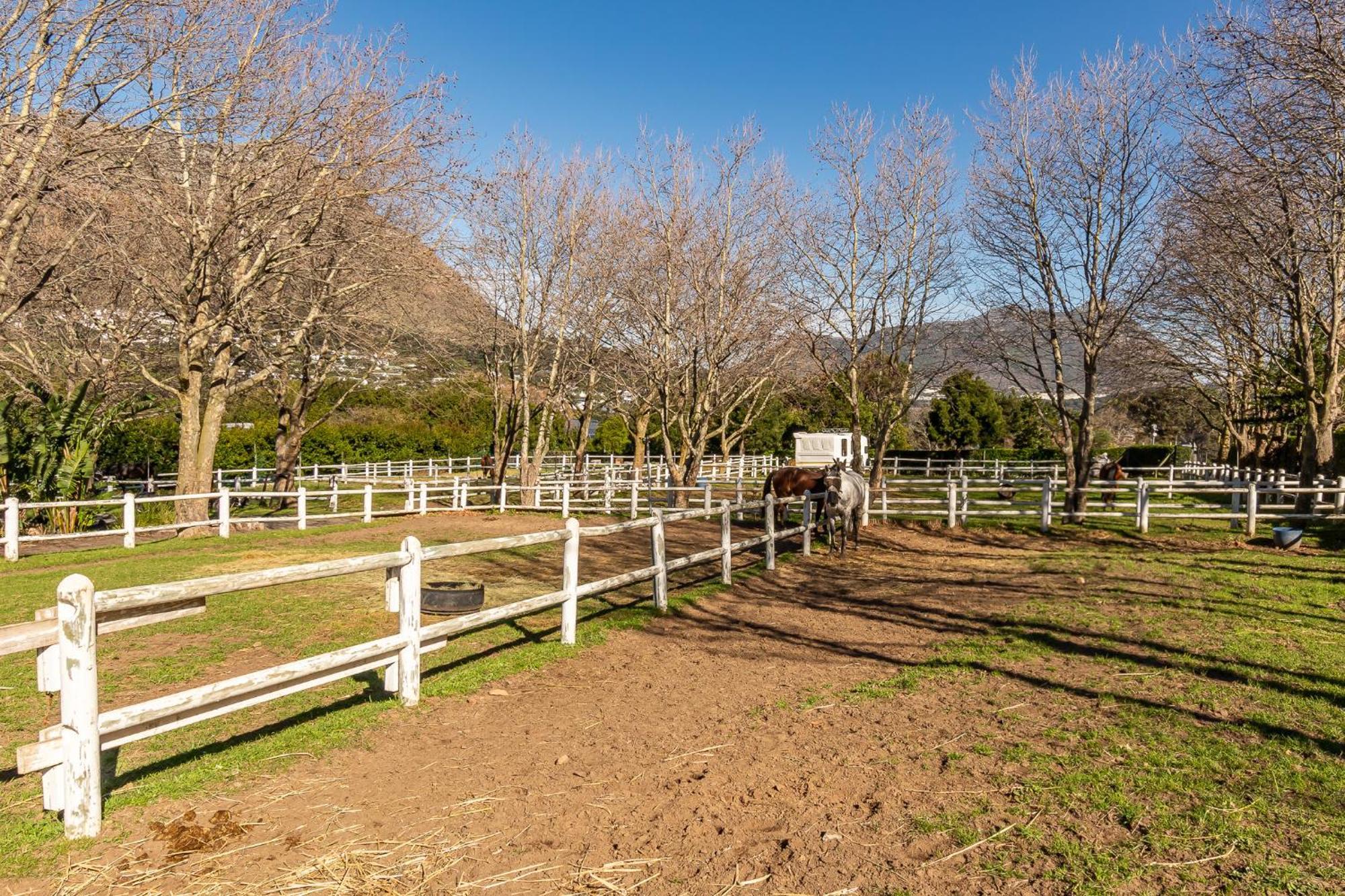 Novelle Vista Cottage 豪特湾 外观 照片